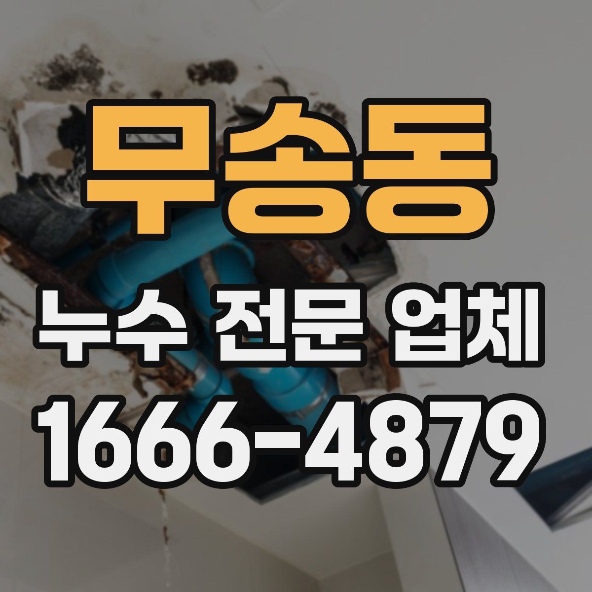 무송동 누수 전문 업체
