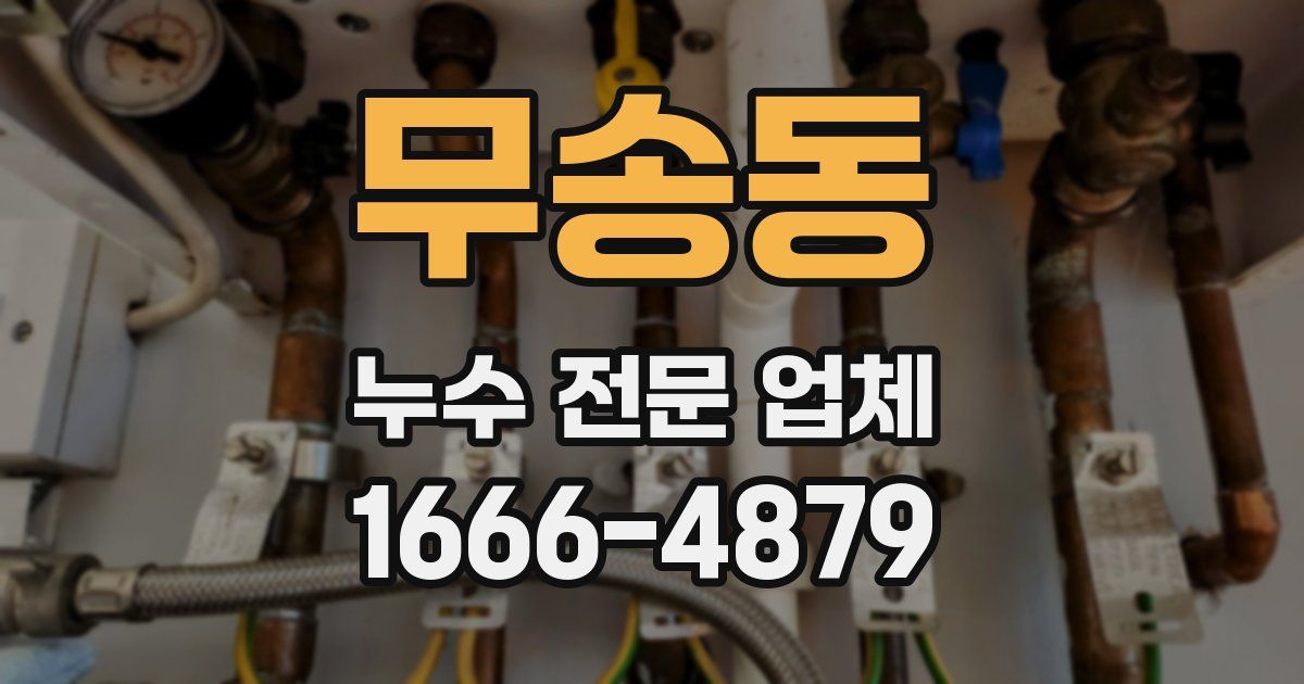 무송동 누수 전문 업체