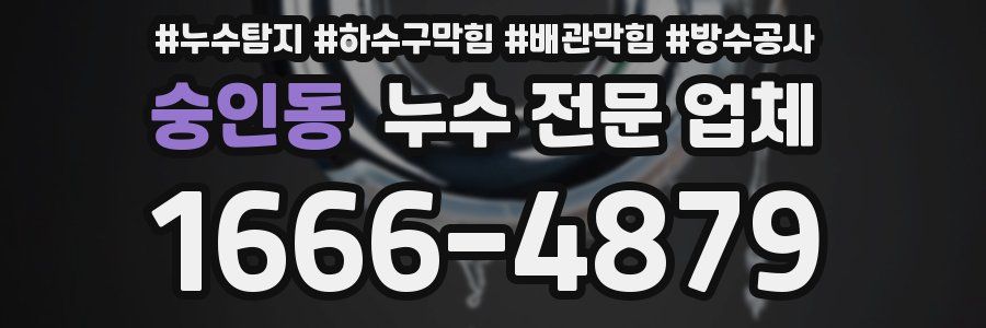 숭인동 누수 전문 업체