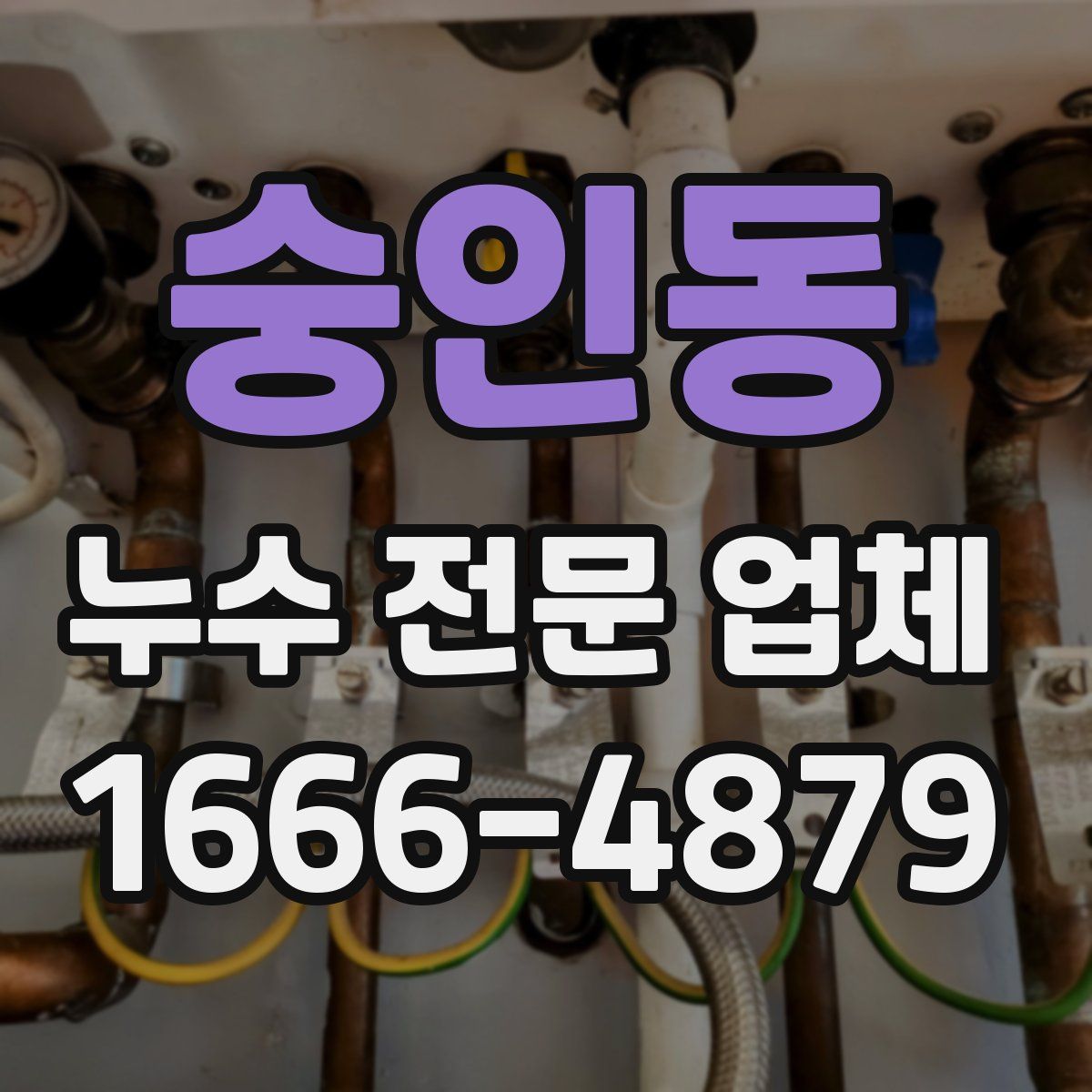 숭인동 누수 전문 업체