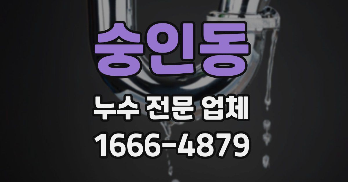 숭인동 누수 전문 업체