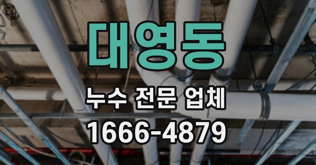 대영동 누수 전문 업체