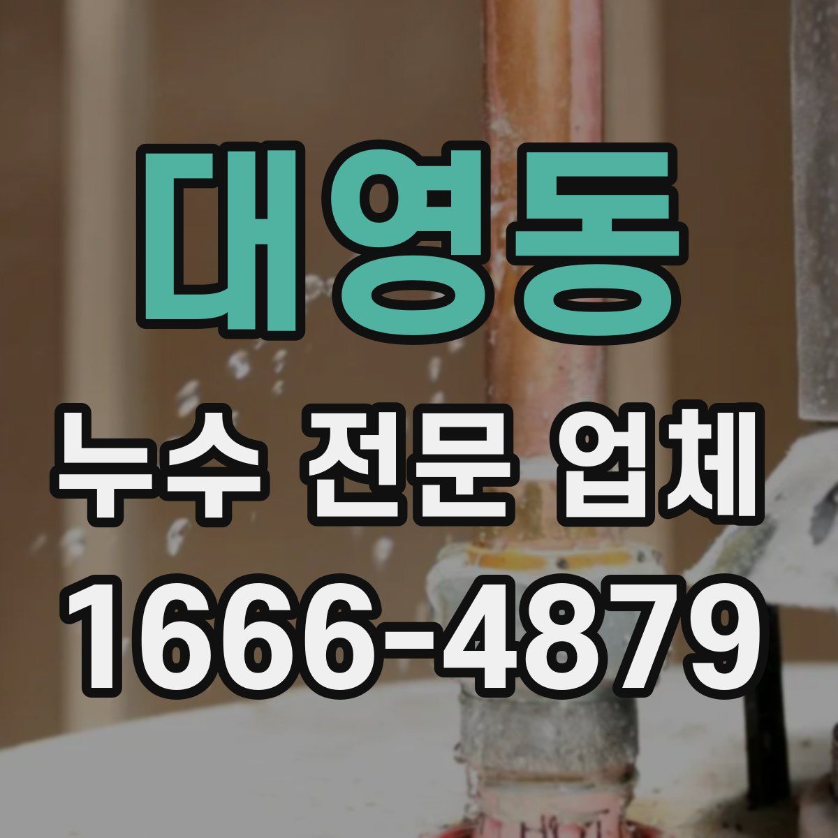 대영동 누수 전문 업체
