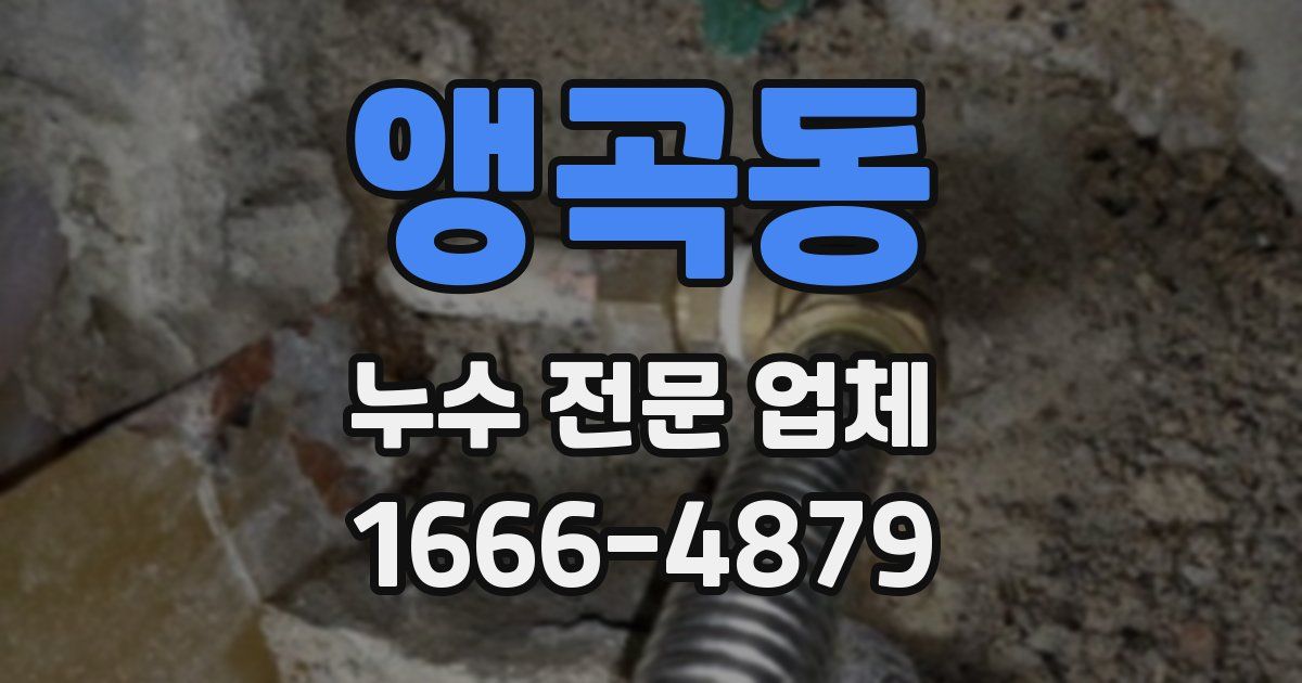 앵곡동 누수 전문 업체