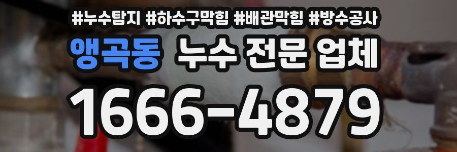 앵곡동 누수 전문 업체