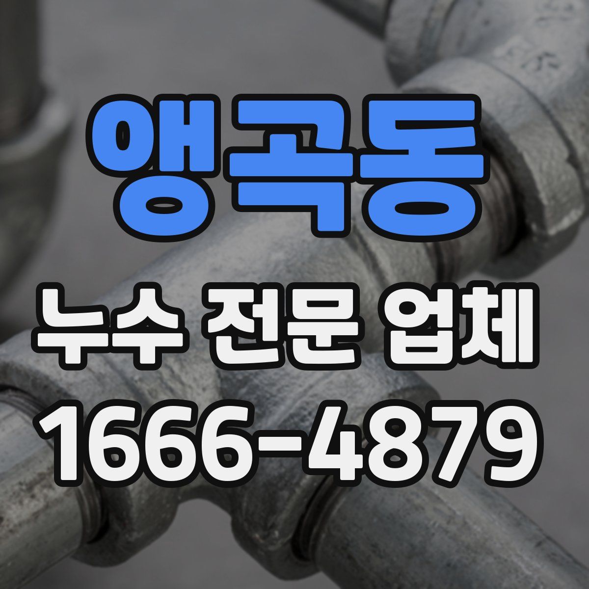 앵곡동 누수 전문 업체