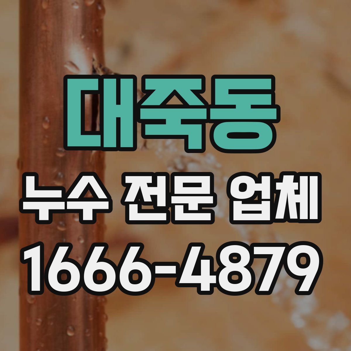 대죽동 누수 전문 업체