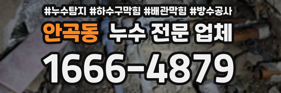 안곡동 누수 전문 업체