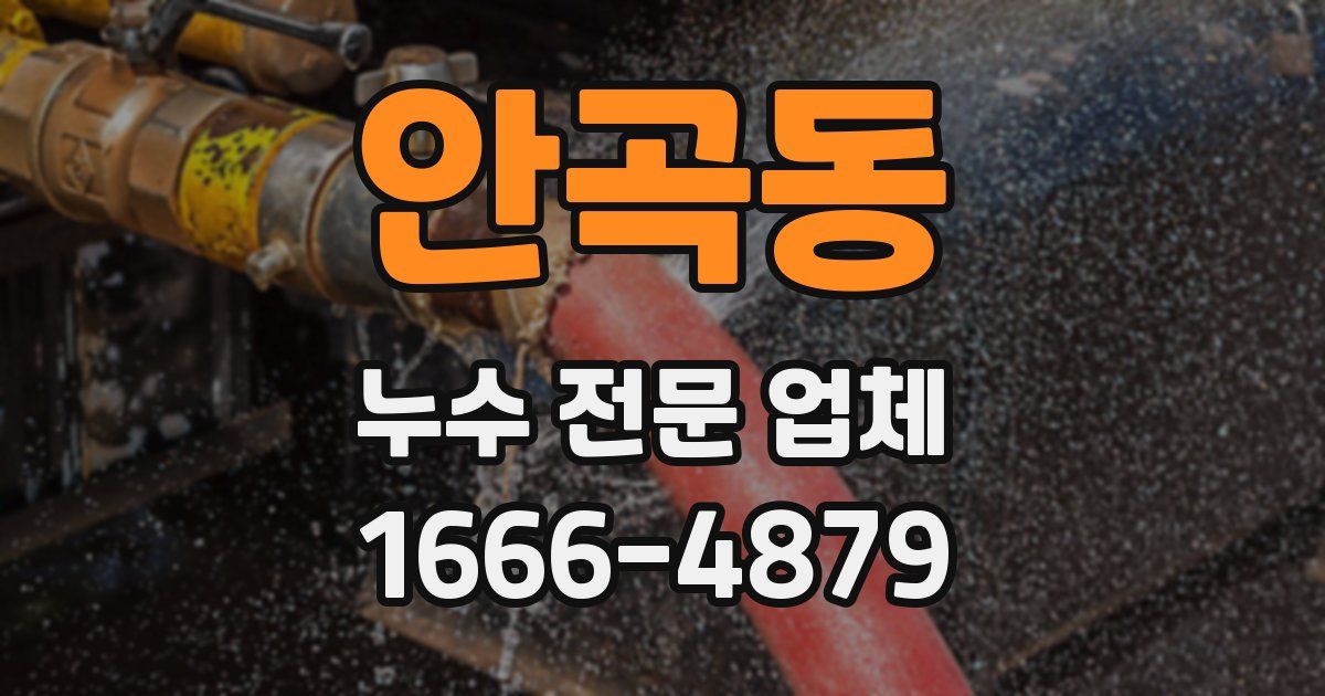 안곡동 누수 전문 업체