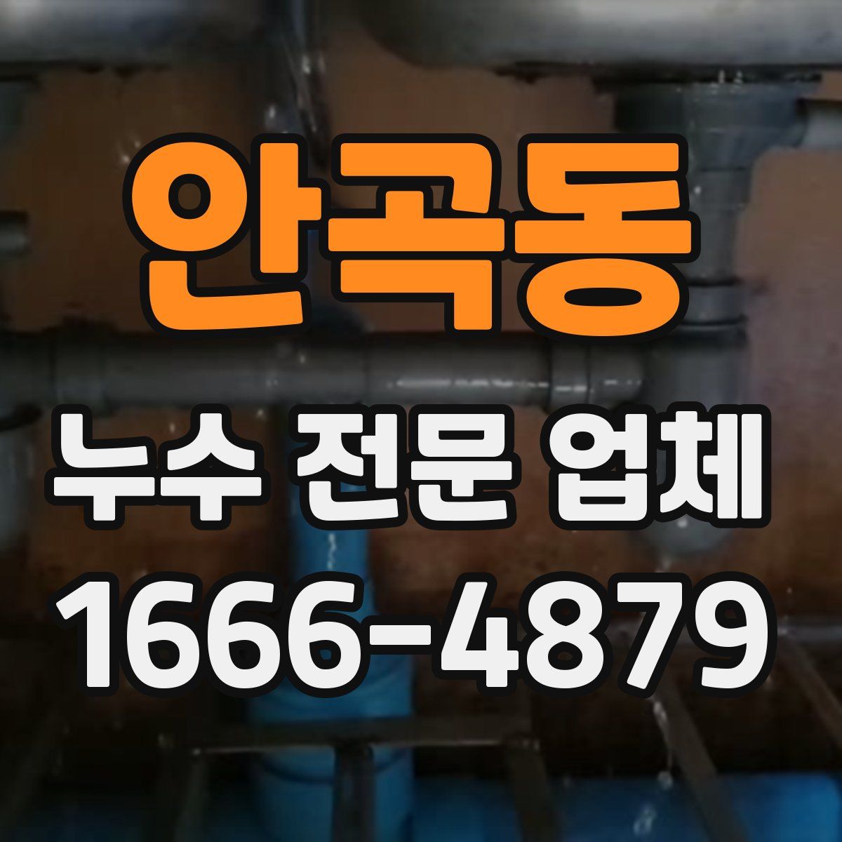 안곡동 누수 전문 업체