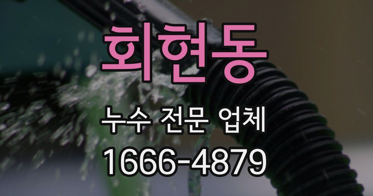 회현동 누수 전문 업체