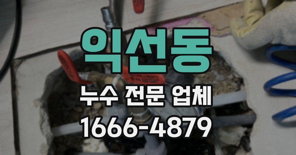 익선동 누수 전문 업체