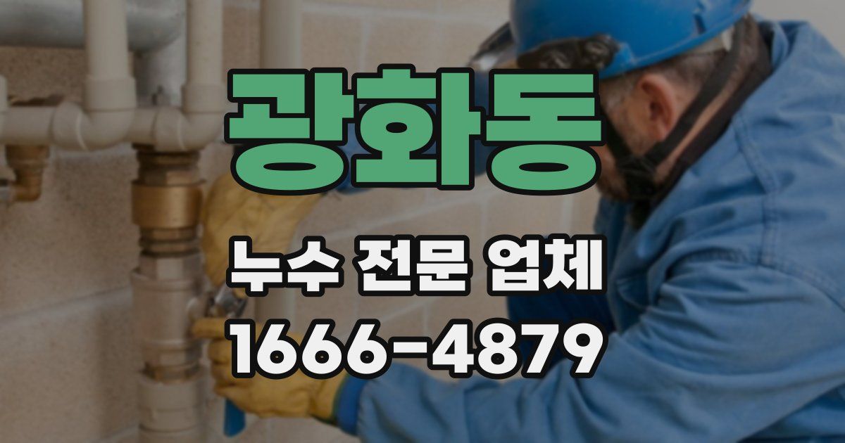 광화동 누수 전문 업체