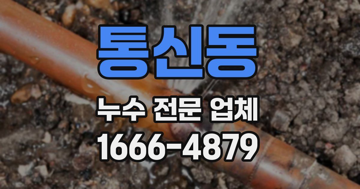 통신동 누수 전문 업체