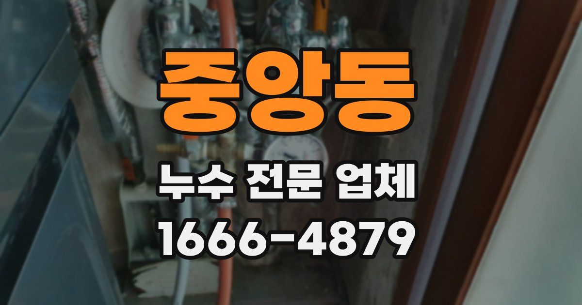 중앙동 누수 전문 업체