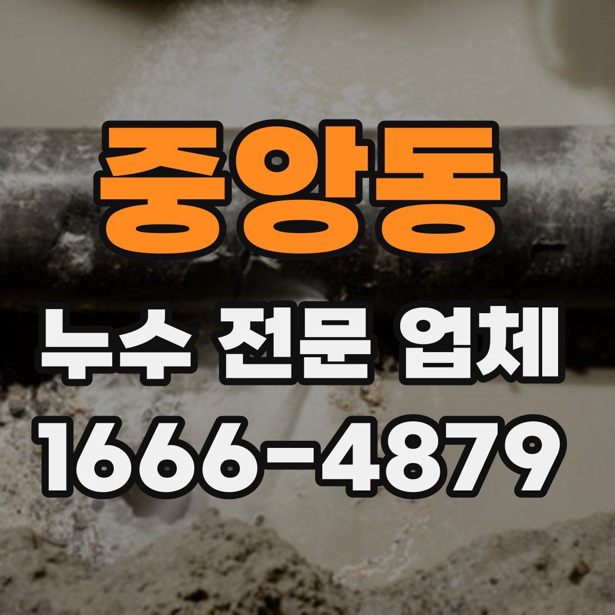 중앙동 누수 전문 업체