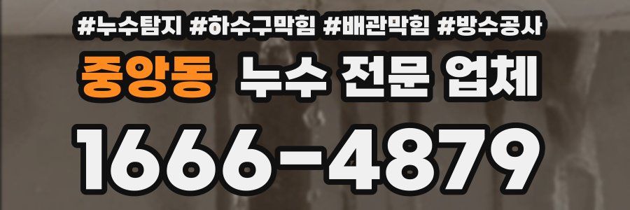 중앙동 누수 전문 업체