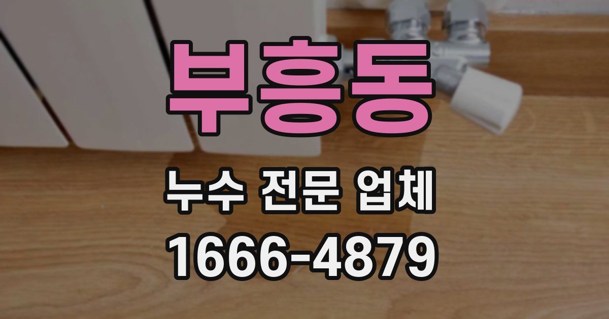 부흥동 누수 전문 업체