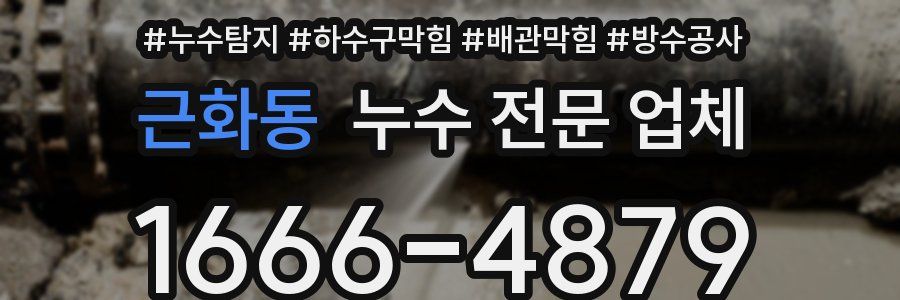 근화동 누수 전문 업체