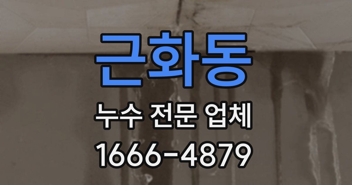 근화동 누수 전문 업체