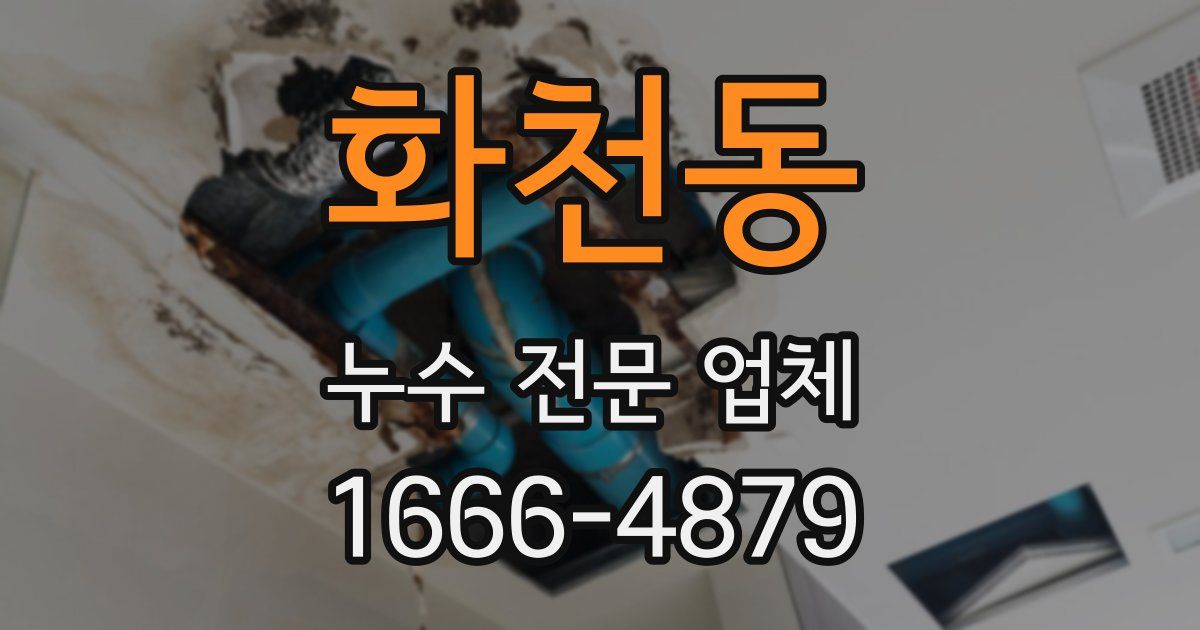 화천동 누수 전문 업체