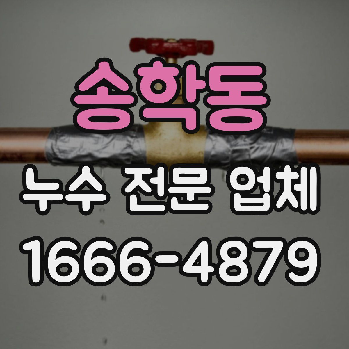 송학동 누수 전문 업체