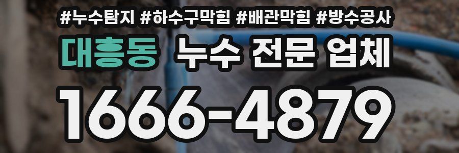 대흥동 누수 전문 업체