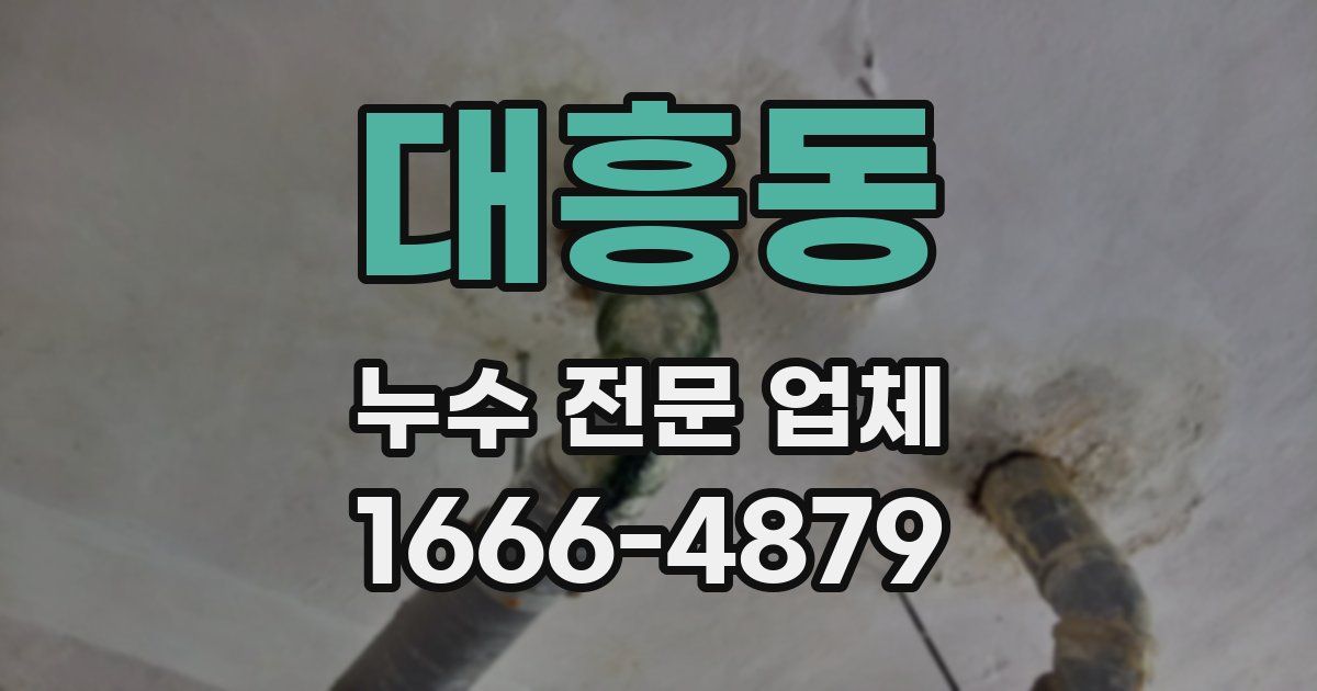 대흥동 누수 전문 업체