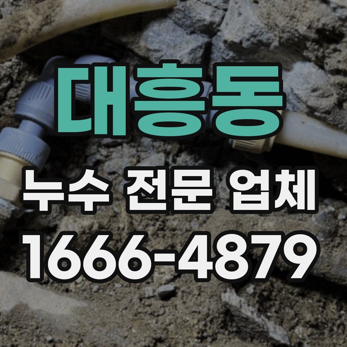 대흥동 누수 전문 업체