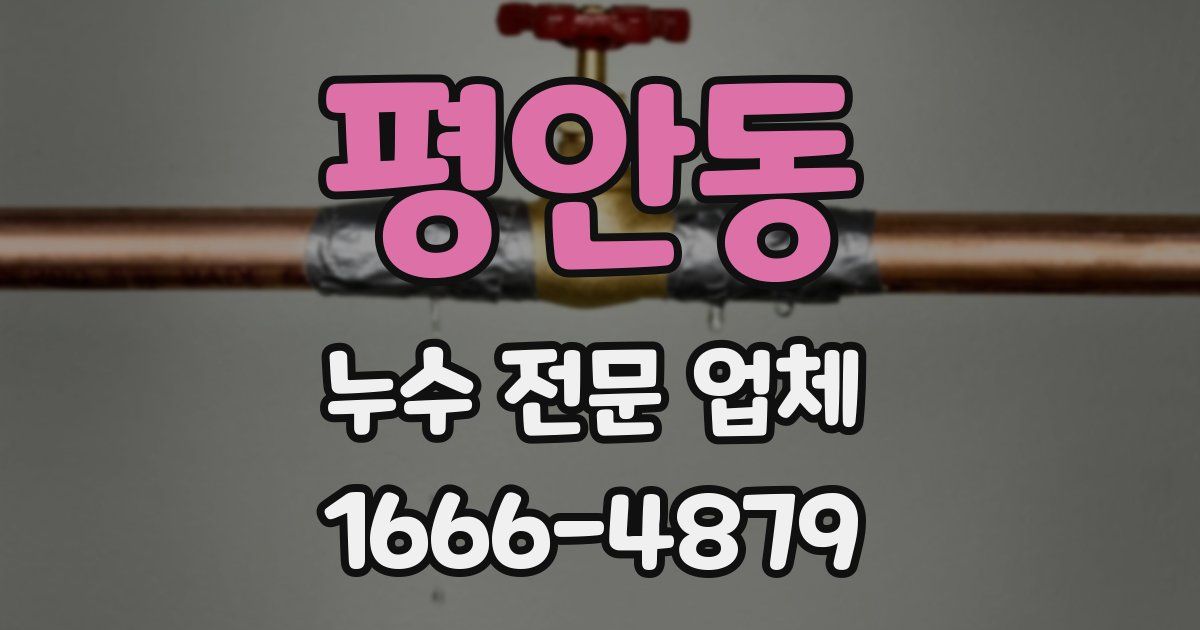 평안동 누수 전문 업체