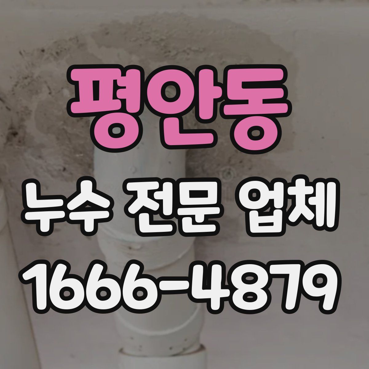 평안동 누수 전문 업체