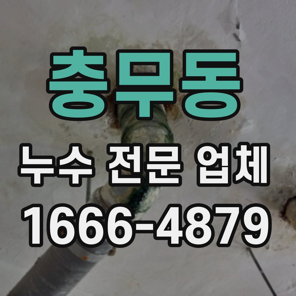 충무동 누수 전문 업체