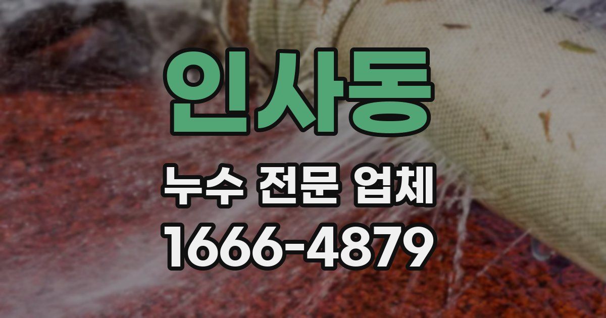 인사동 누수 전문 업체