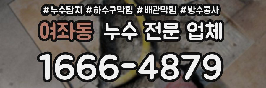 여좌동 누수 전문 업체