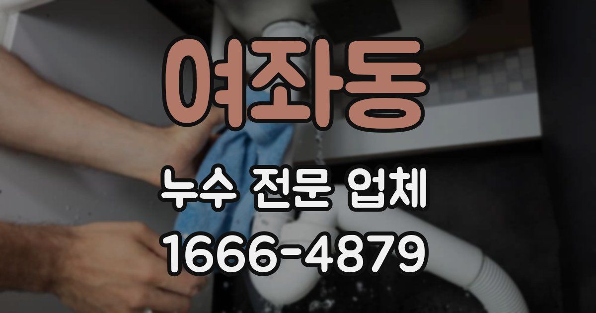 여좌동 누수 전문 업체