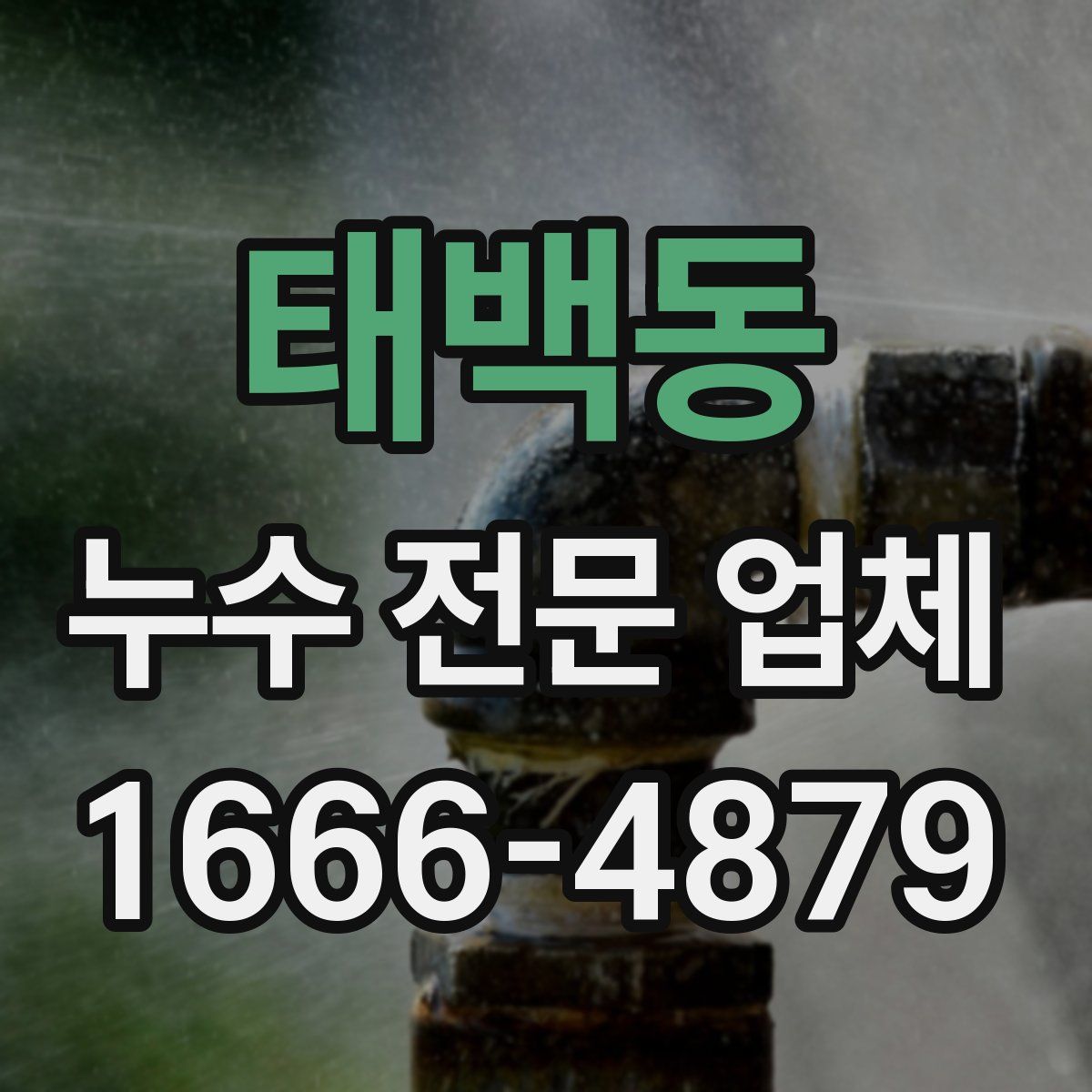 태백동 누수 전문 업체