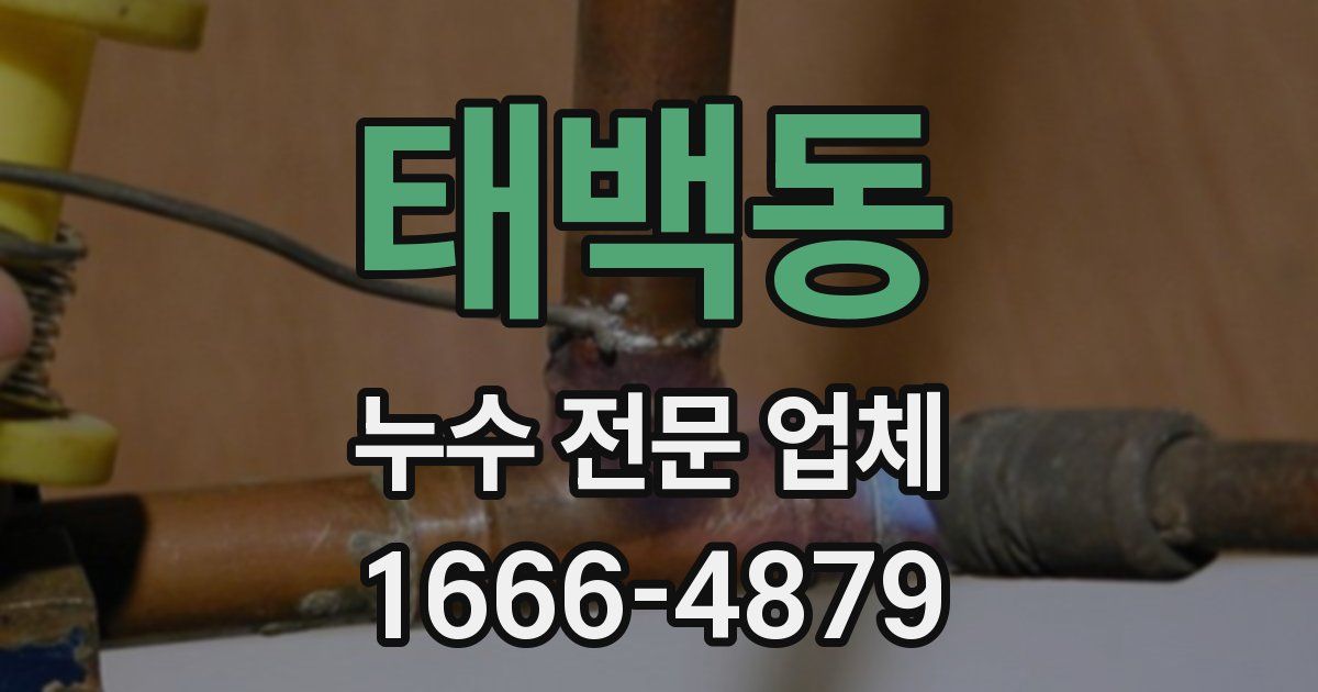 태백동 누수 전문 업체