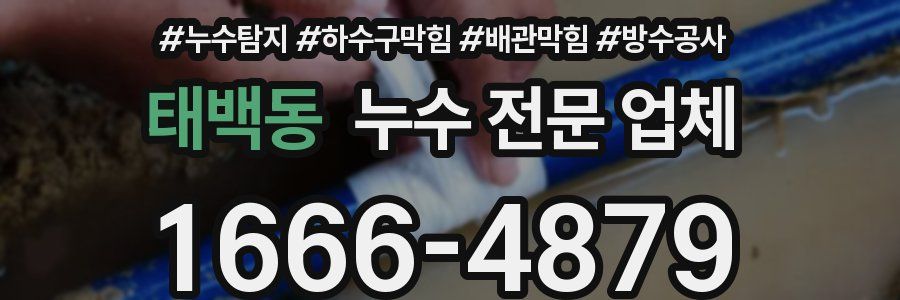 태백동 누수 전문 업체