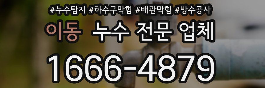 이동 누수 전문 업체