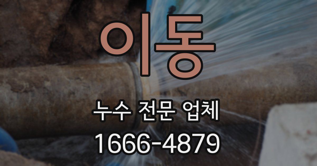 이동 누수 전문 업체