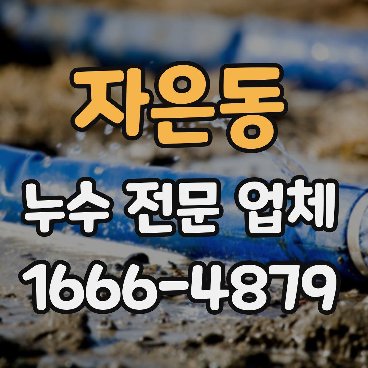 자은동 누수 전문 업체