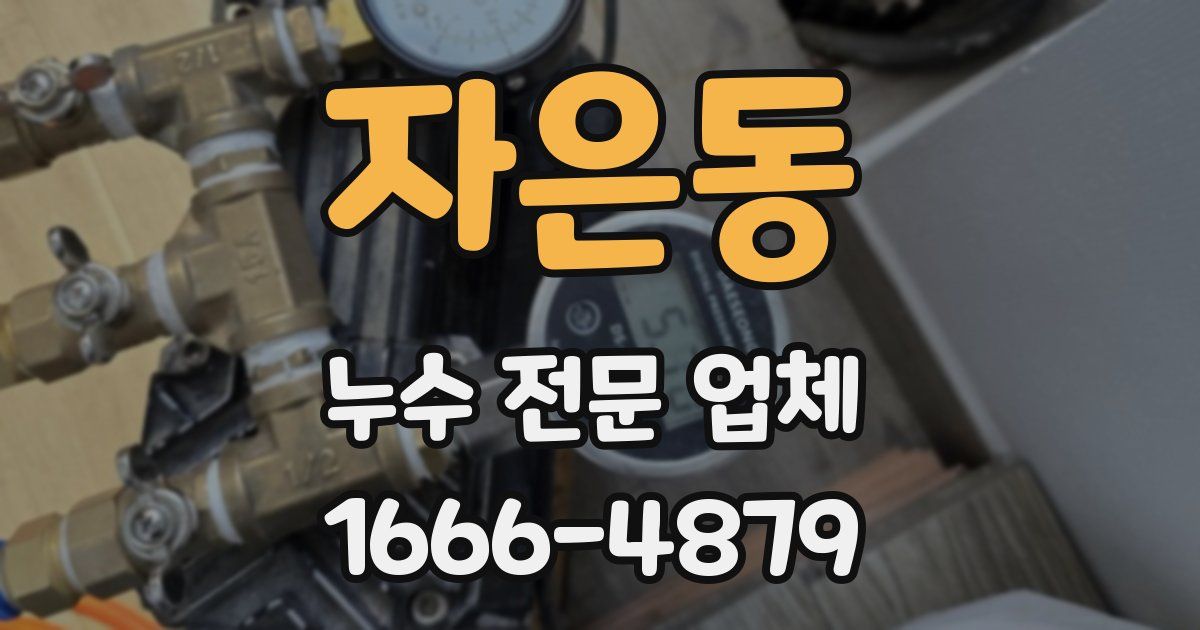 자은동 누수 전문 업체