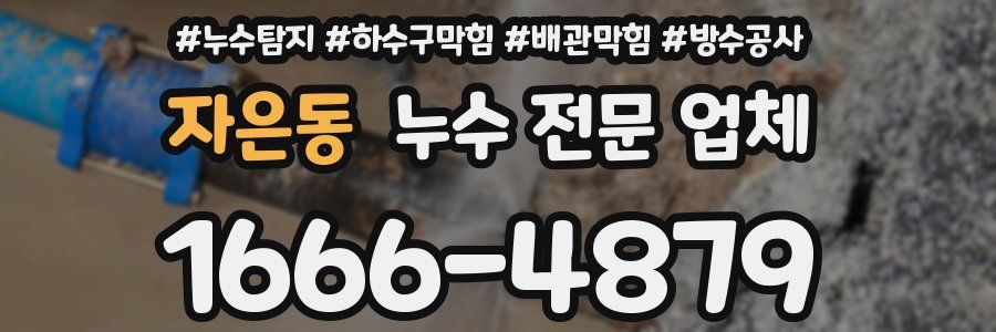 자은동 누수 전문 업체