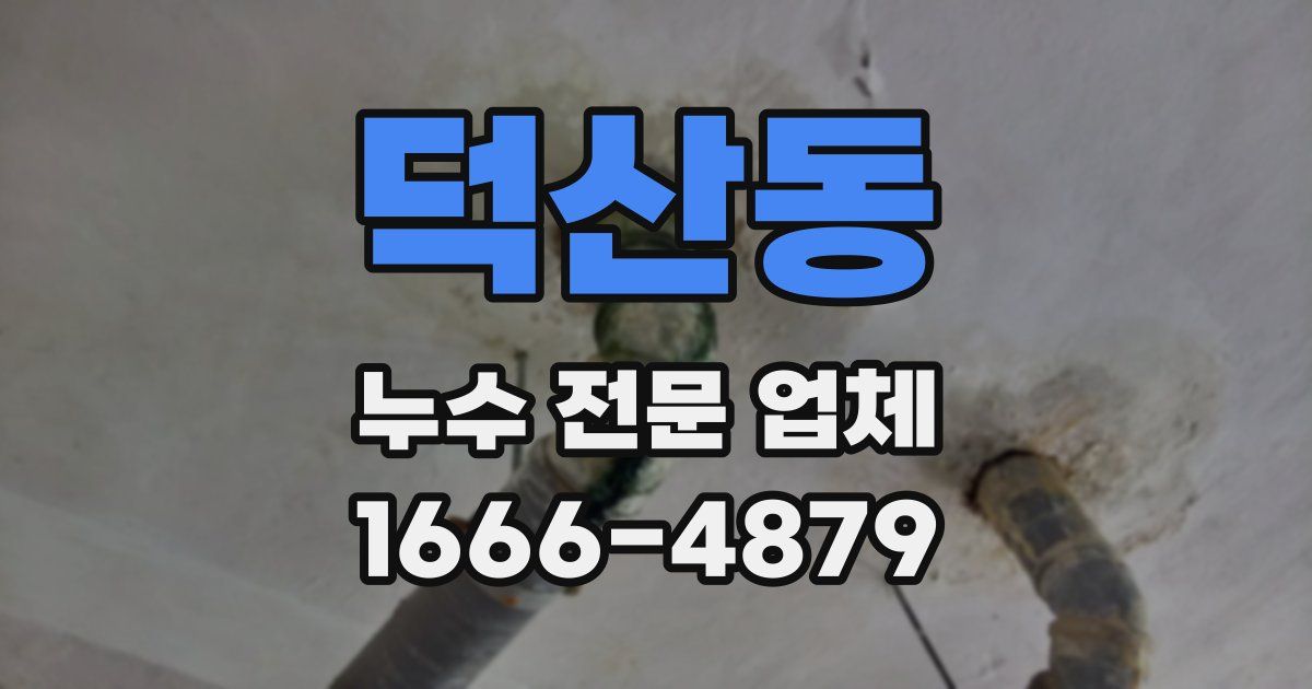 덕산동 누수 전문 업체