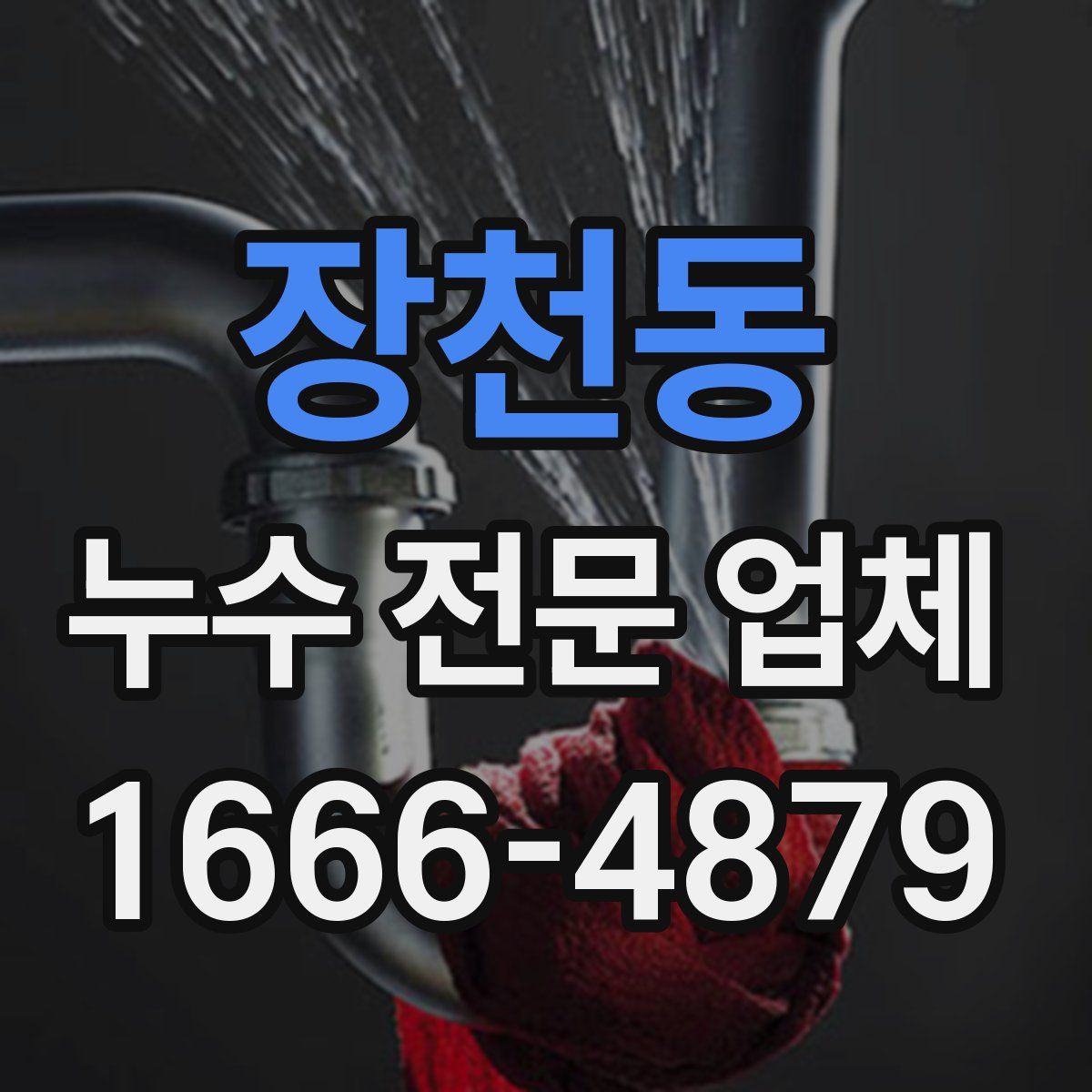 장천동 누수 전문 업체