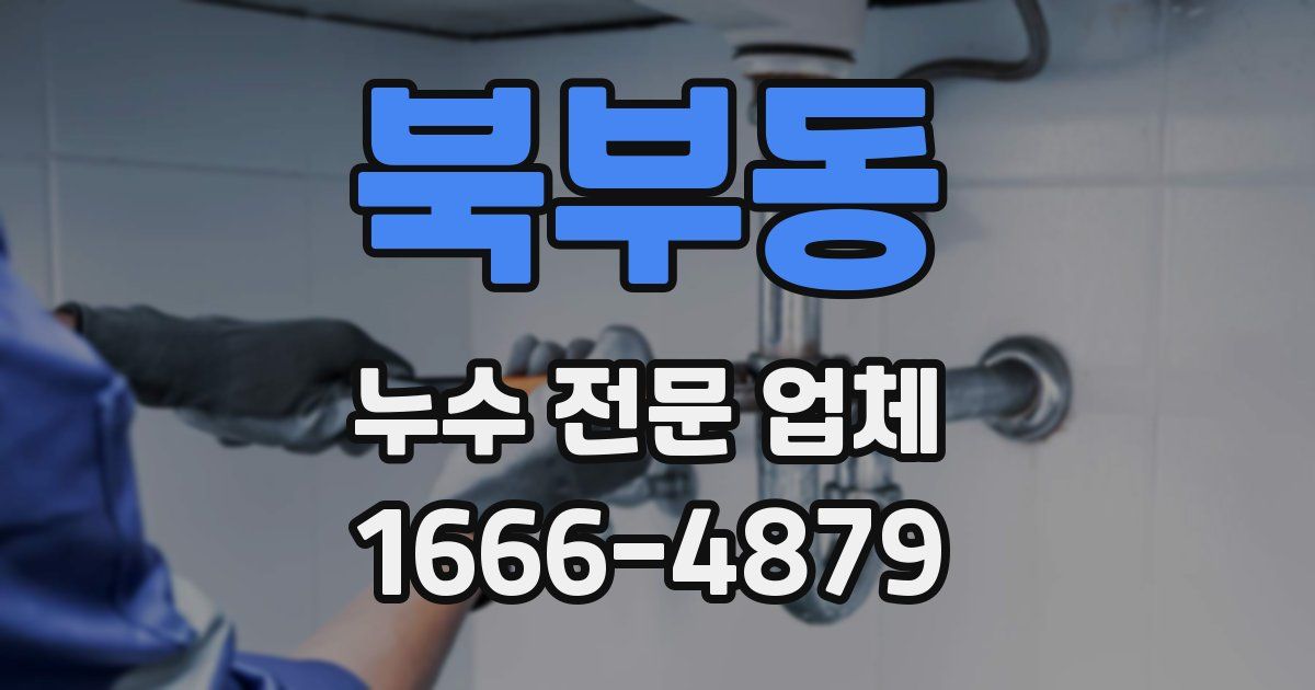 북부동 누수 전문 업체