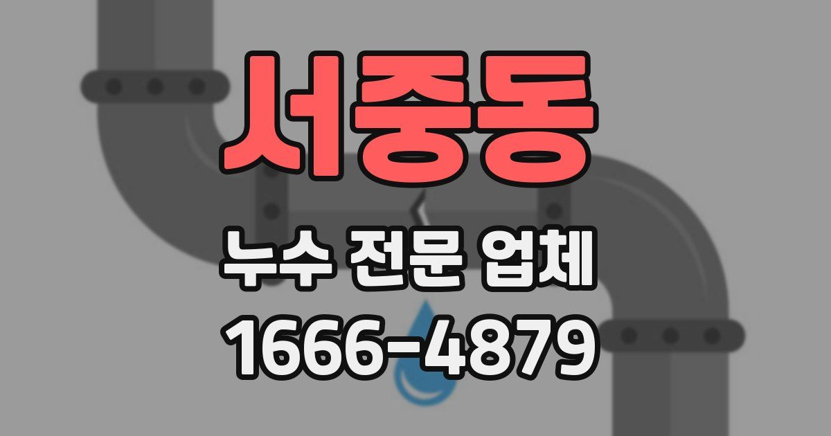 서중동 누수 전문 업체