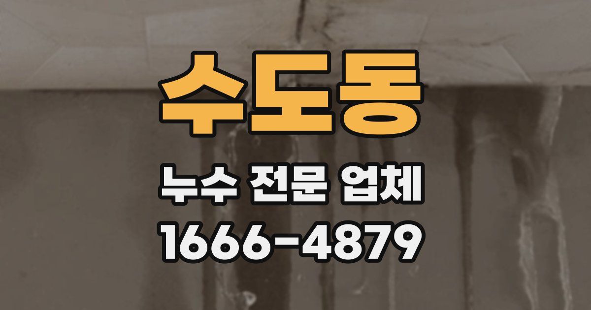 수도동 누수 전문 업체