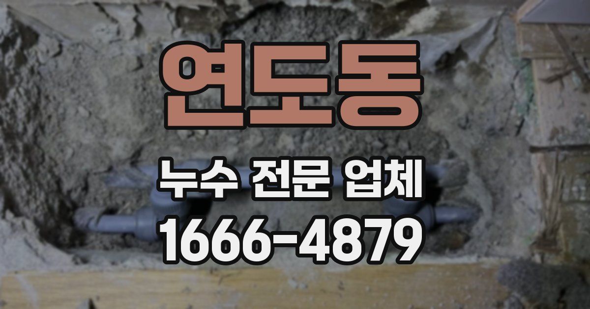 연도동 누수 전문 업체