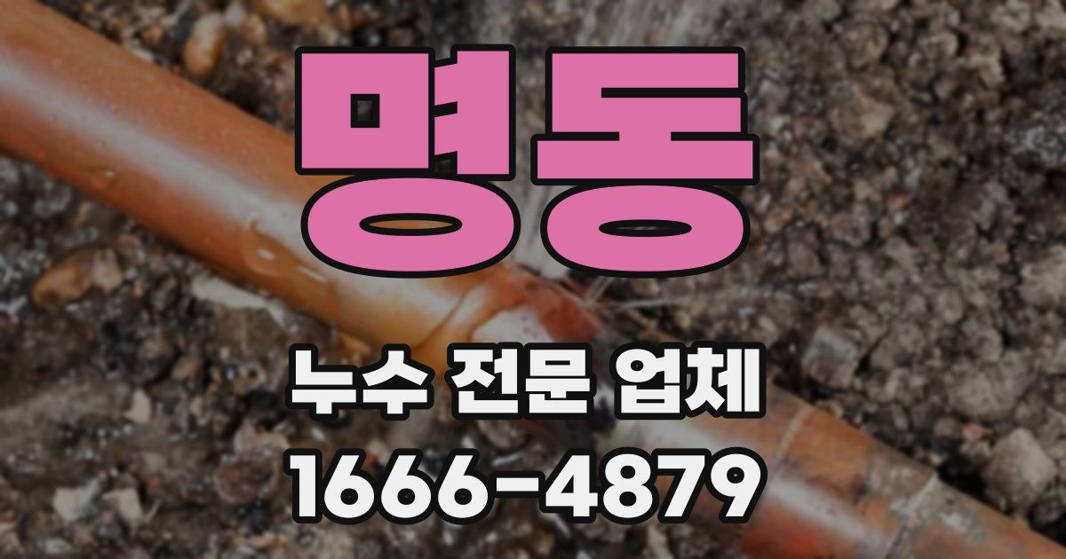 명동 누수 전문 업체